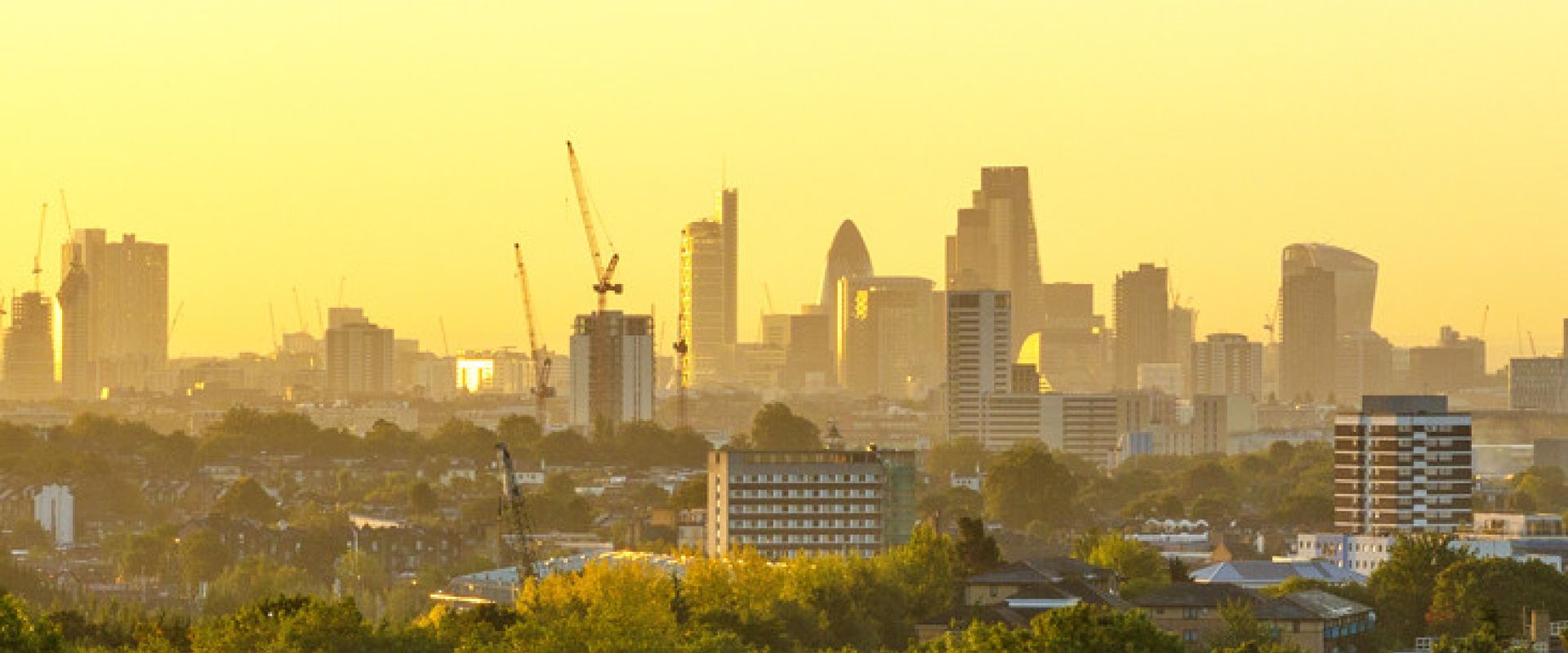 An ambitious vision for sustainability by Pearce Signs